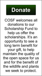 Conejo Senior Volunteer Program - Join or Donate Today