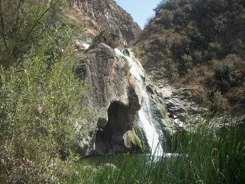 Paradise Falls and Wildwood Regional Park