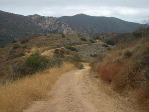 LR-meadow-vista-trail (2) 