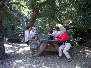 WW-little-falls-picnic-area 