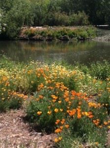 rod-batt-wendy-to-lynnmere6